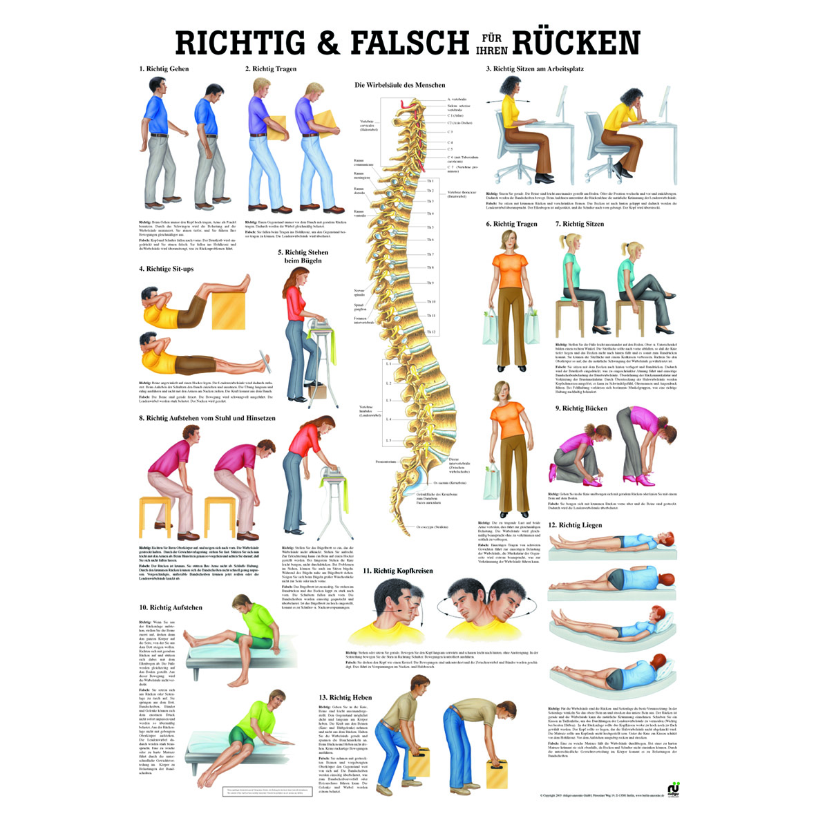 Anatomische Lehrtafel \"Richtig & Falsch für Ihren Rücken 34 x 24